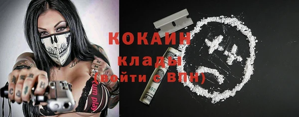 хмурый Аркадак