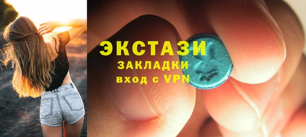 хмурый Аркадак