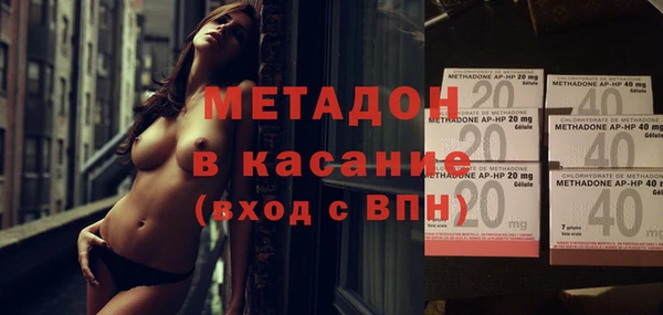 хмурый Аркадак
