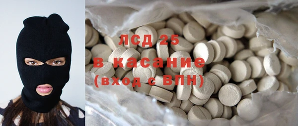 хмурый Аркадак