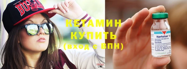 хмурый Аркадак