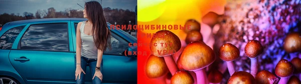 сатива Болохово