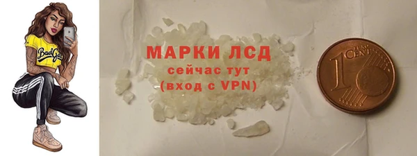 хмурый Аркадак