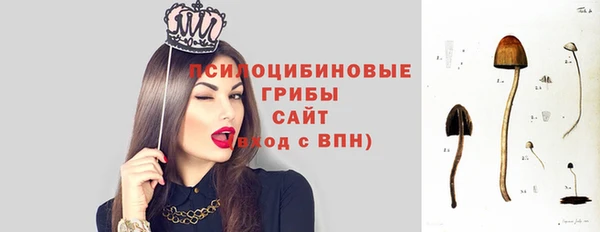 скорость Алексин