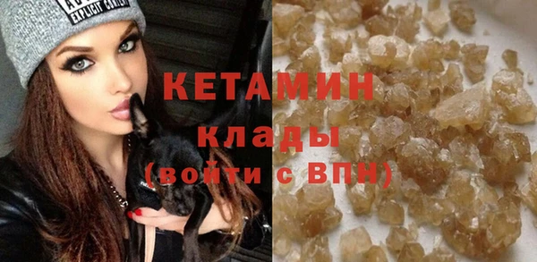 хмурый Аркадак