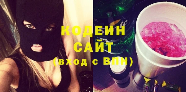 хмурый Аркадак