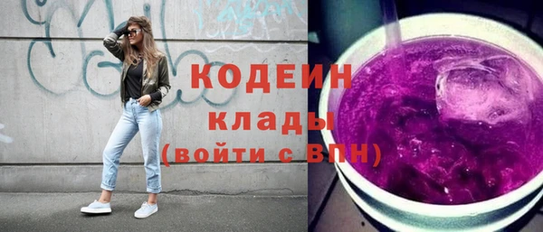 хмурый Аркадак