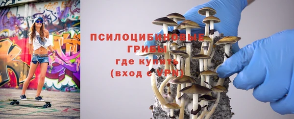прущий лед Арсеньев