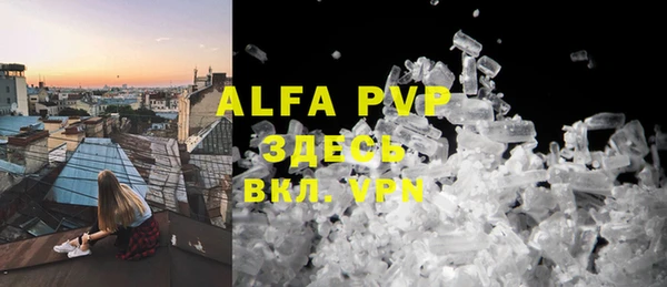 хмурый Аркадак