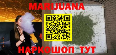 крисы Лесной