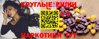 крисы Лесной