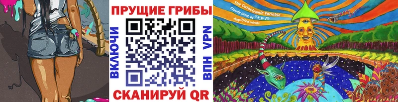 купить закладку  Дюртюли  Псилоцибиновые грибы Magic Shrooms 